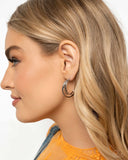 Paparazzi Curly Charisma - Silver Earring
