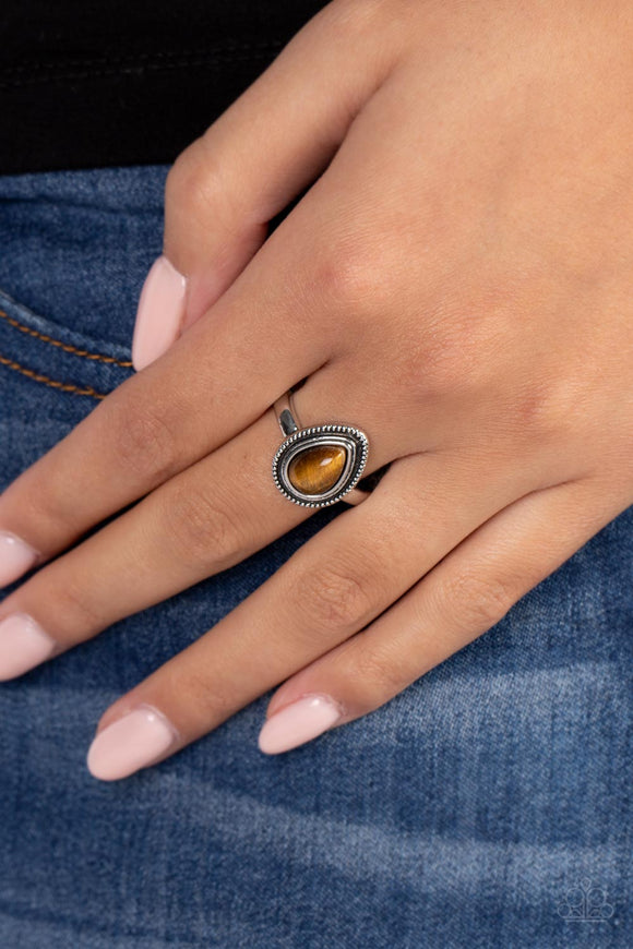 Paparazzi Eco Elements - Brown Ring