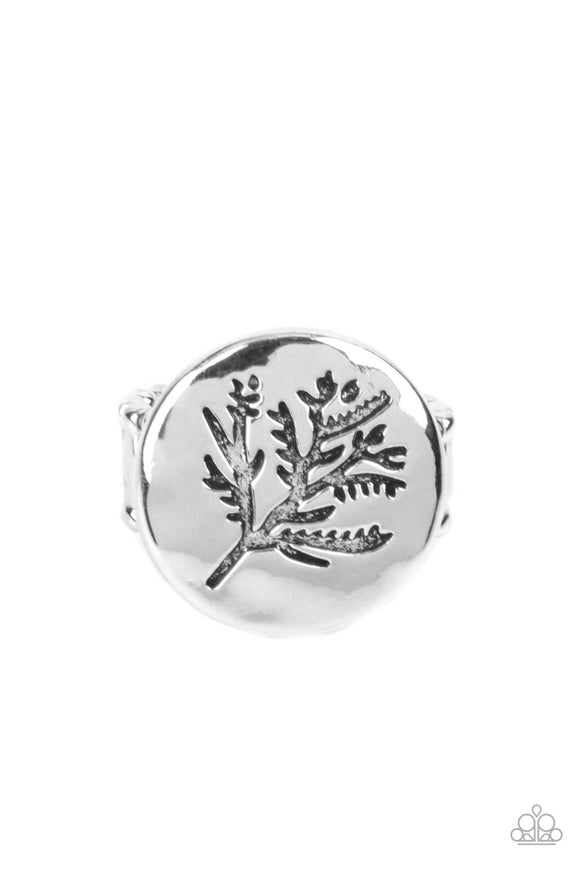 Paparazzi Branched Out Beauty - Silver Ring