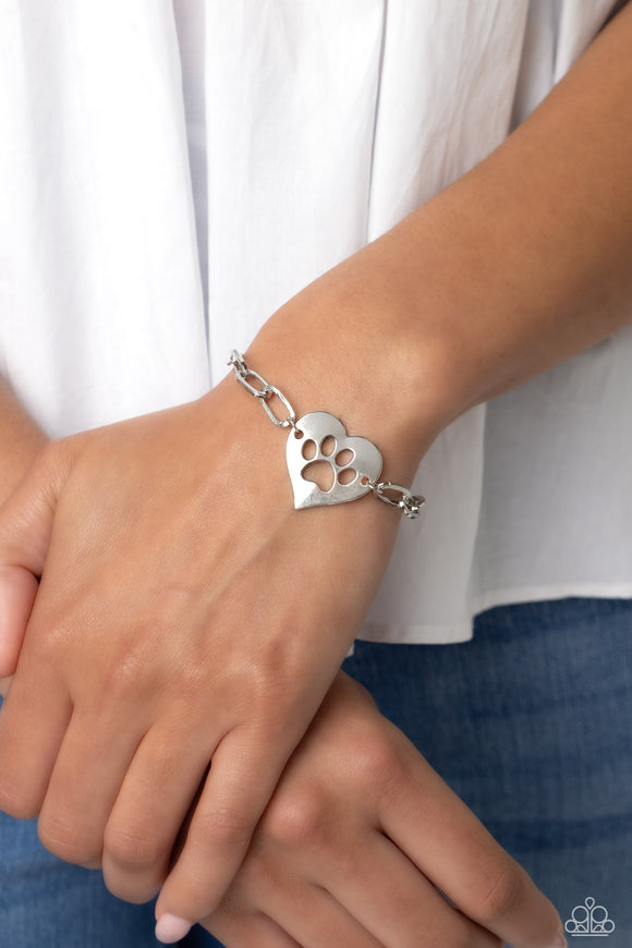 Paparazzi PAW-sitively Perfect - Silver Bracelet
